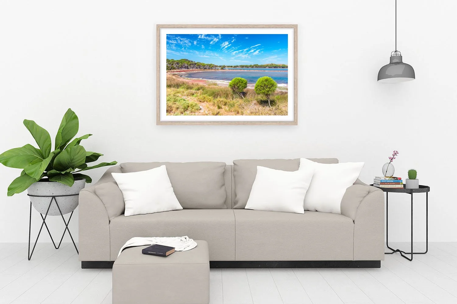 LAKE TIMPERLEY - COASTAL PITTOSPORUM OAK.jpg