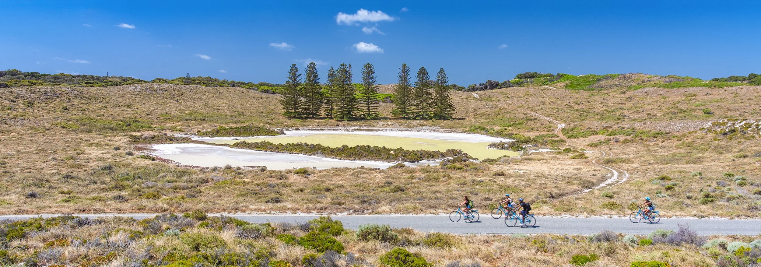 SALMON SWAMP - ROLL ON.jpg