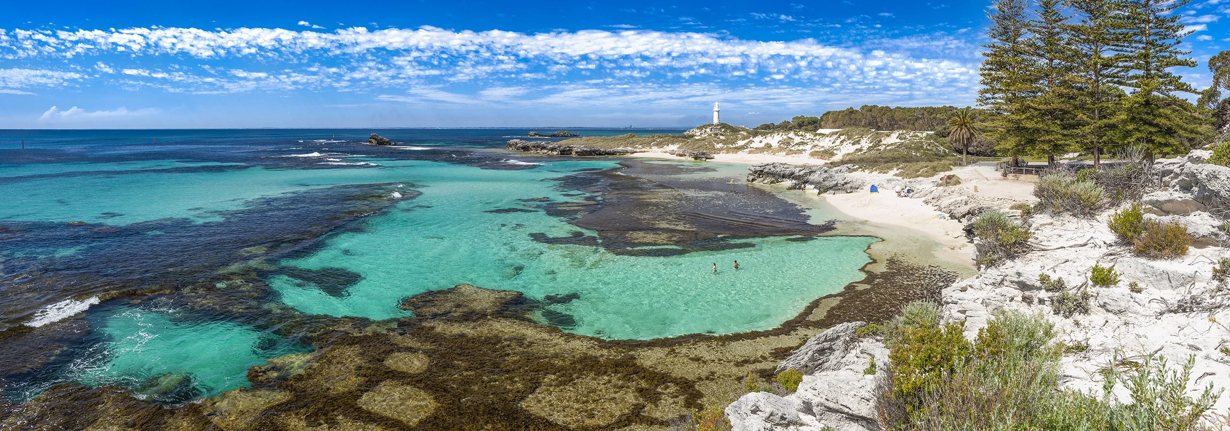 THE BASIN - SPRING HAS SPRUNG.jpg