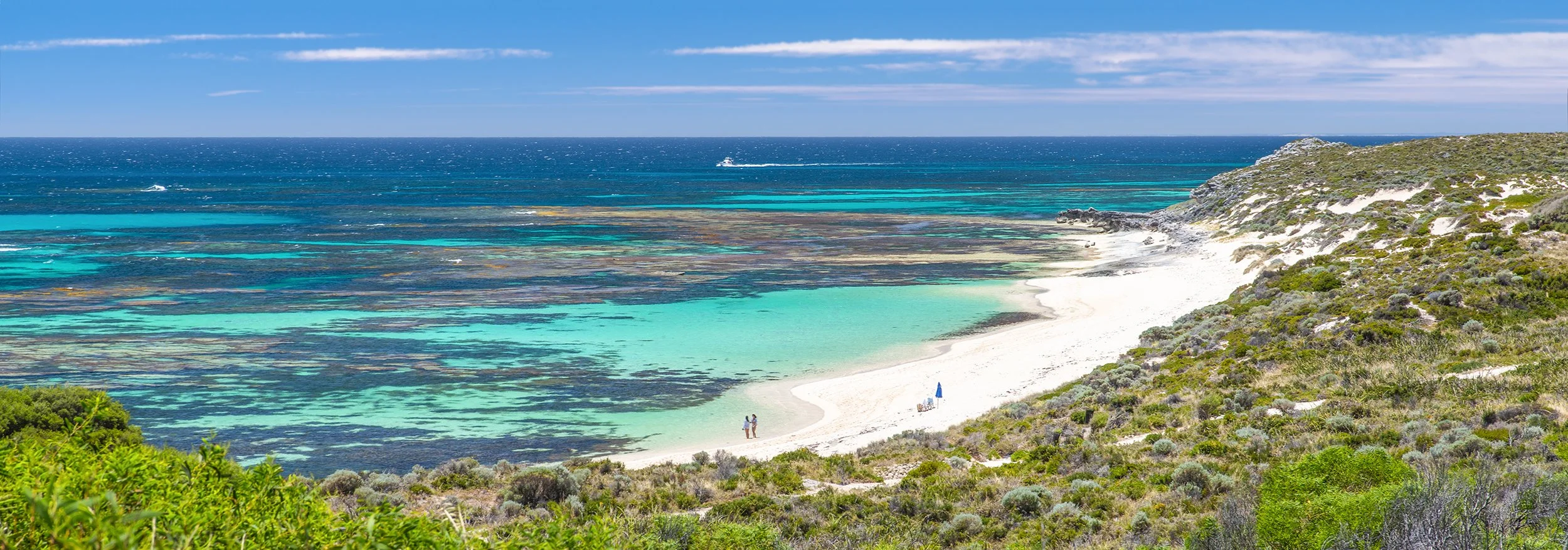 RICEY BEACH - DISTANT PERFECTION.jpg