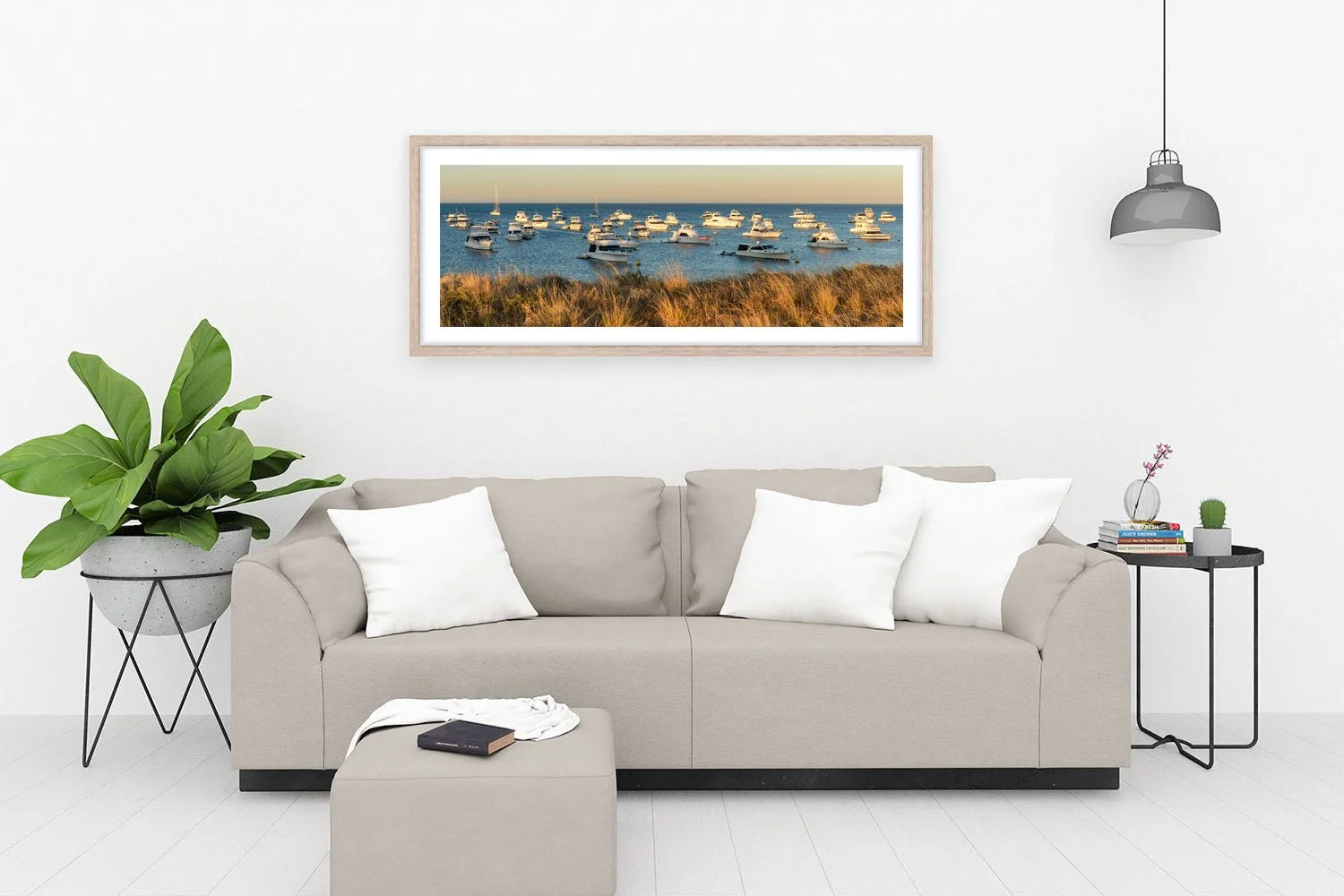 THOMSON BAY - LAST RAYS OAK.jpg