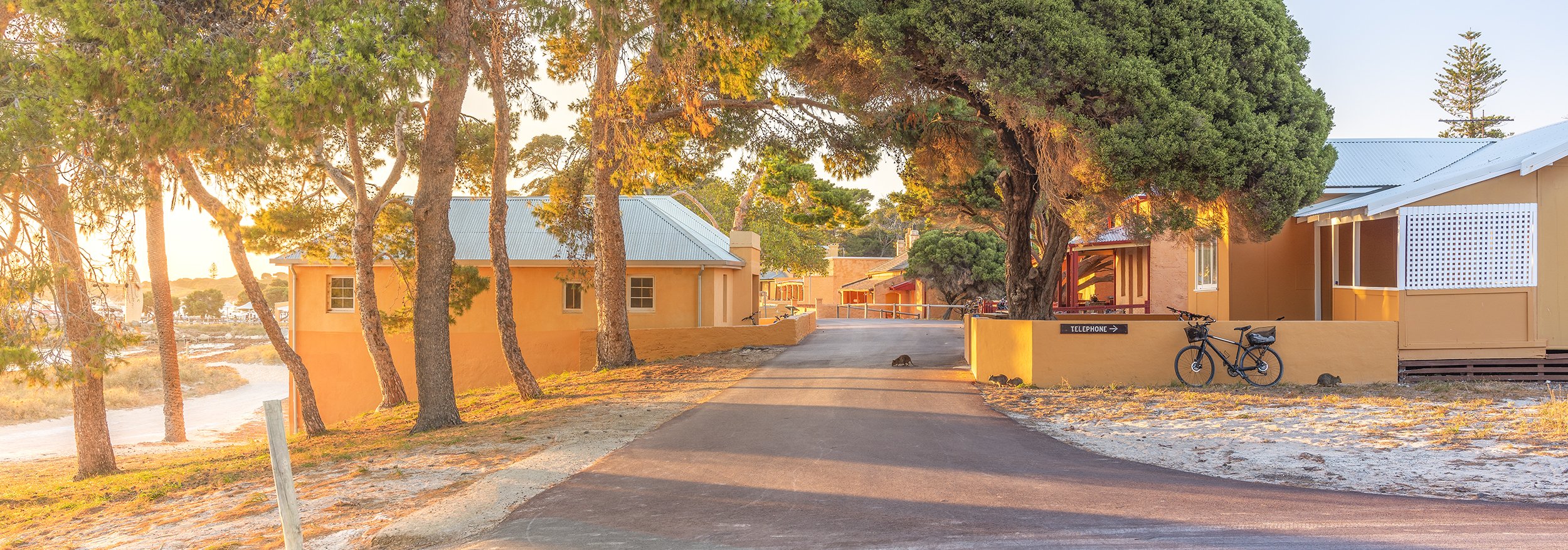 THOMSON BAY - ROTTNEST PINING.jpg