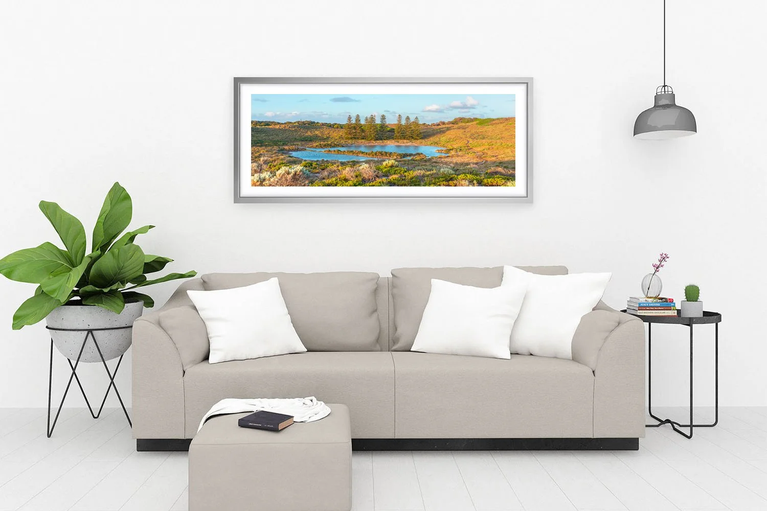 SALMON SWAMP - THE PINES SILVER.jpg