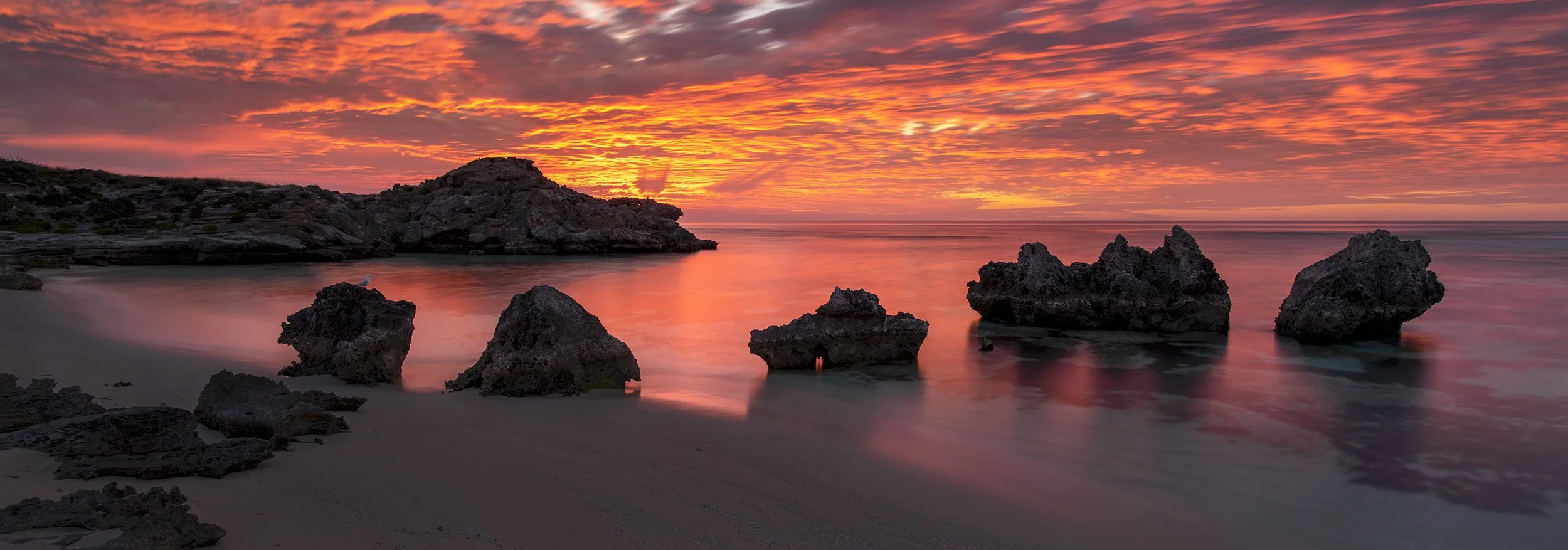 RICEY BEACH - ROCKFIRE.jpg