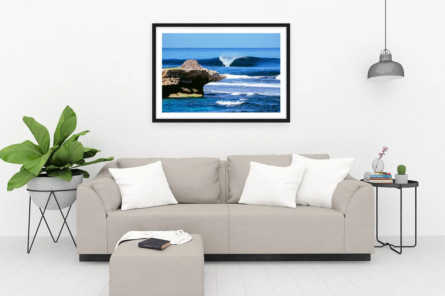 SALMON POINT - MEAT TRAYS BLACK.jpg