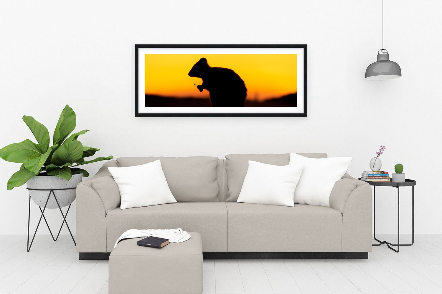 ROTTNEST ISLAND - THE QUOKKA BLACK.jpg