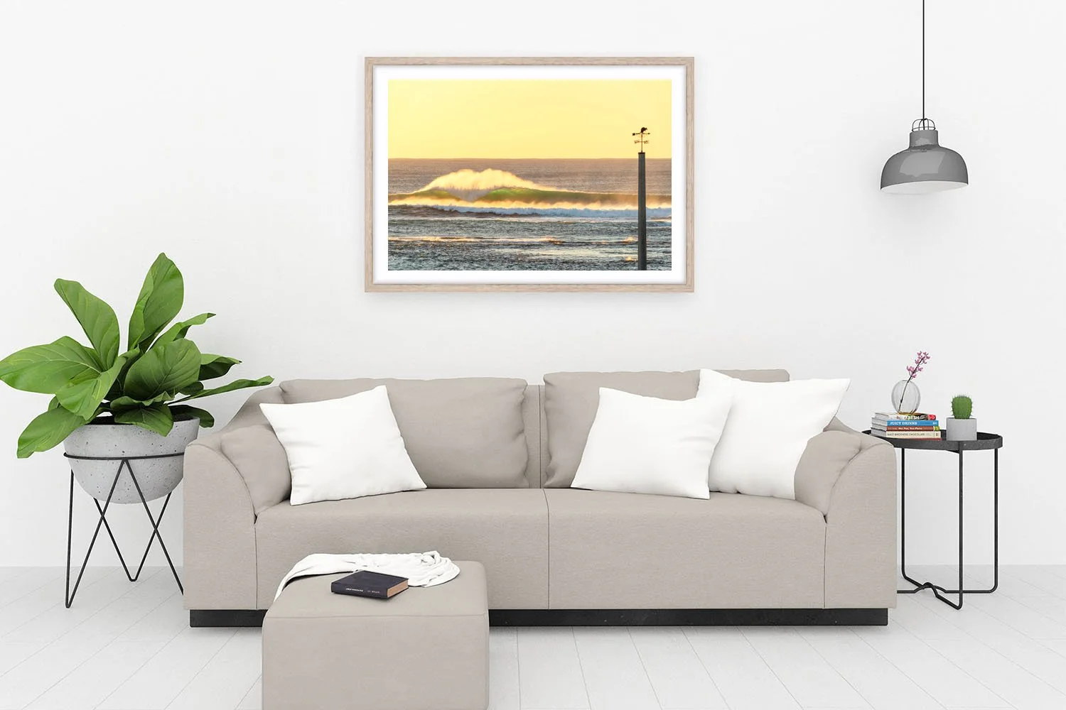 STARK BAY - QUOKKA VANE OAK.jpg