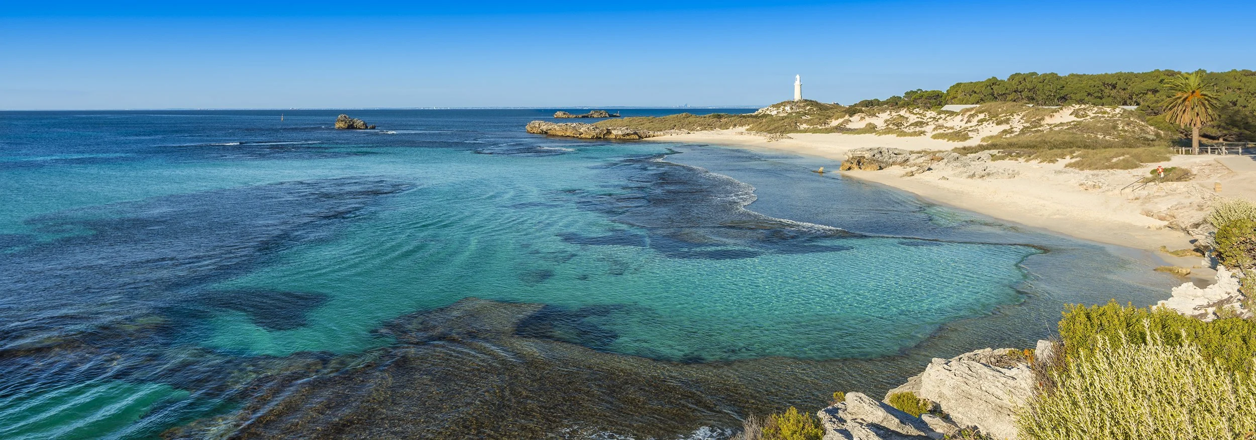 THE BASIN- PURE PERFECTION.jpg