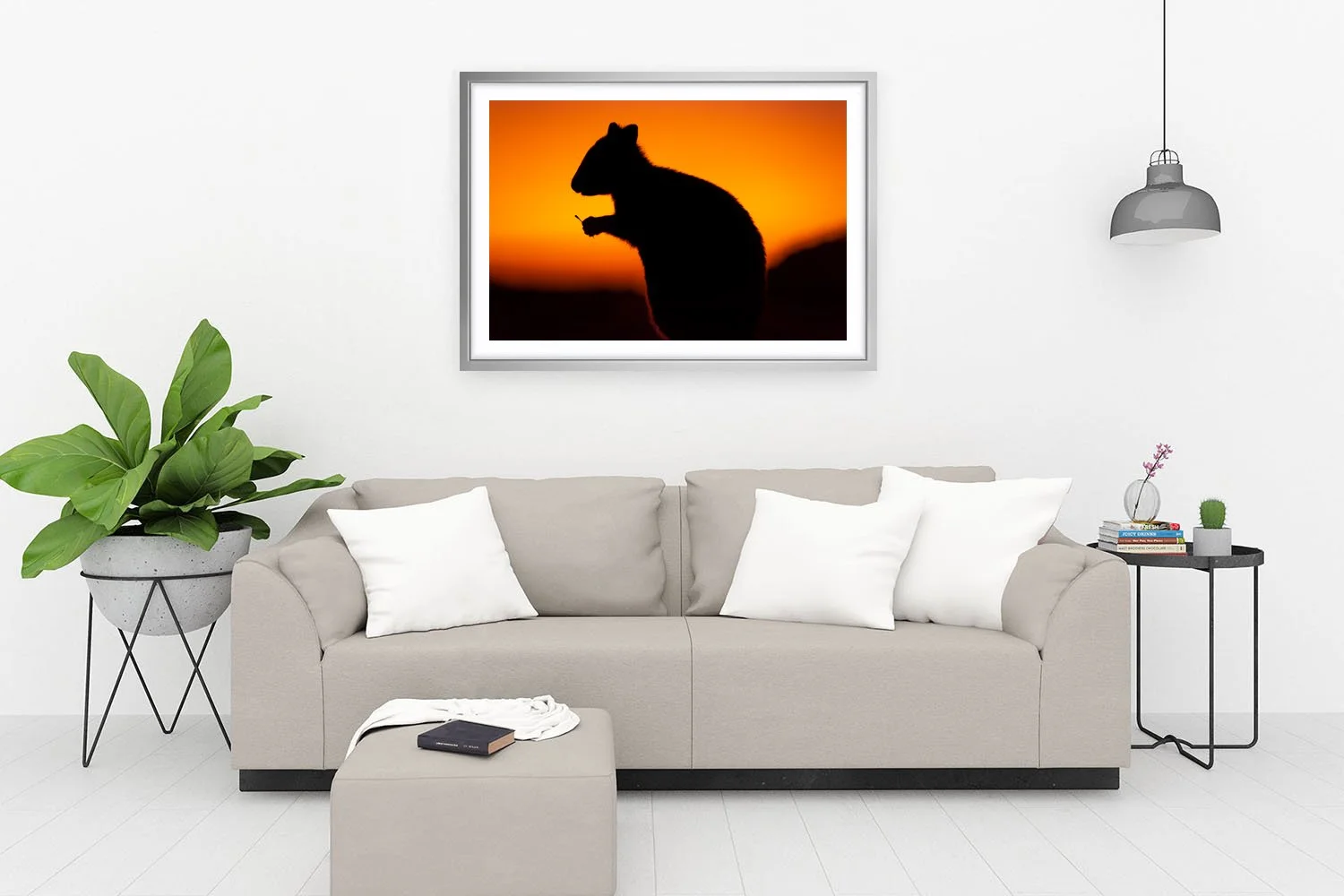 ROTTNEST ISLAND - THE QUOKKA SILVER.jpg