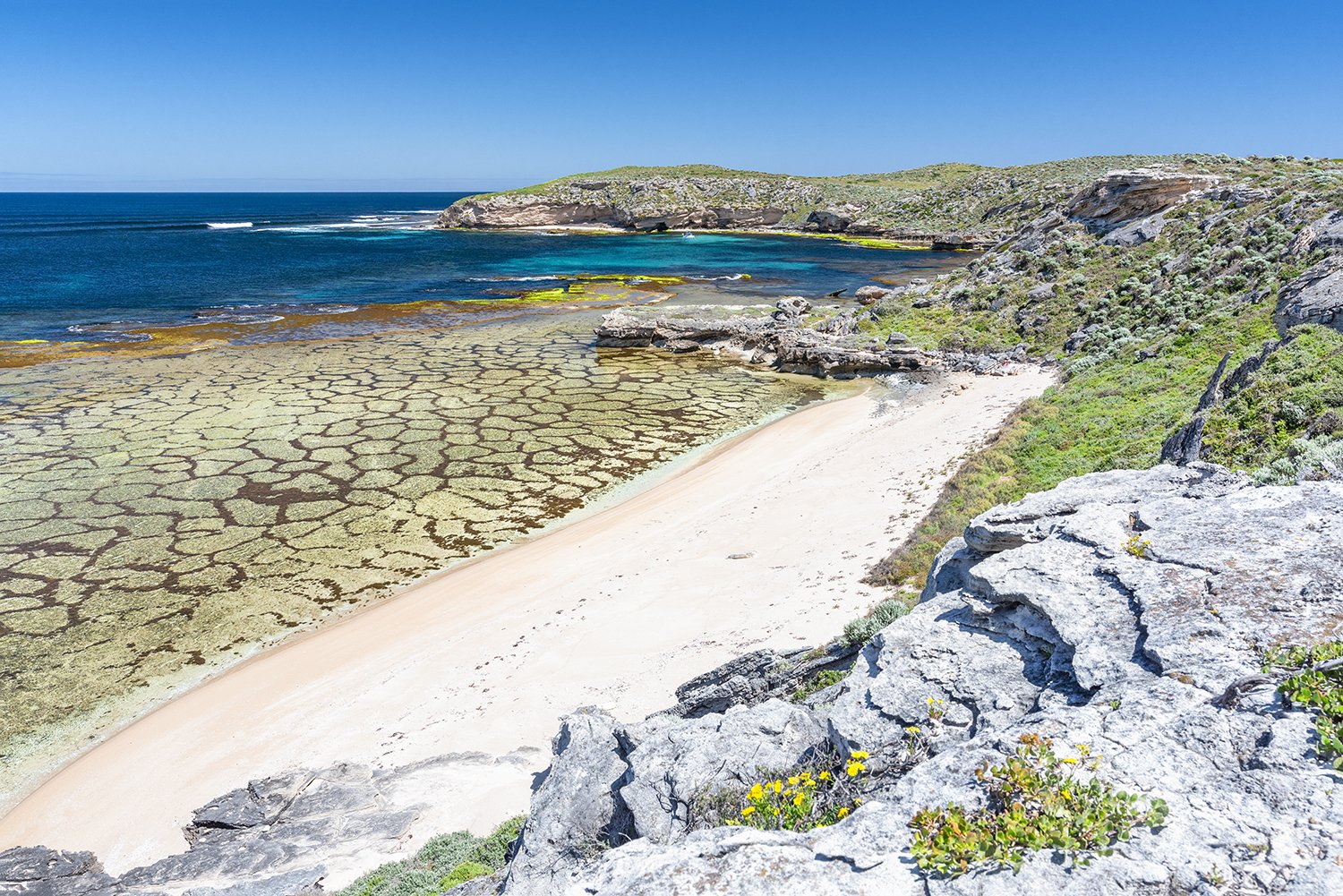 WILSON BAY - SPRING TEXTURES.jpg