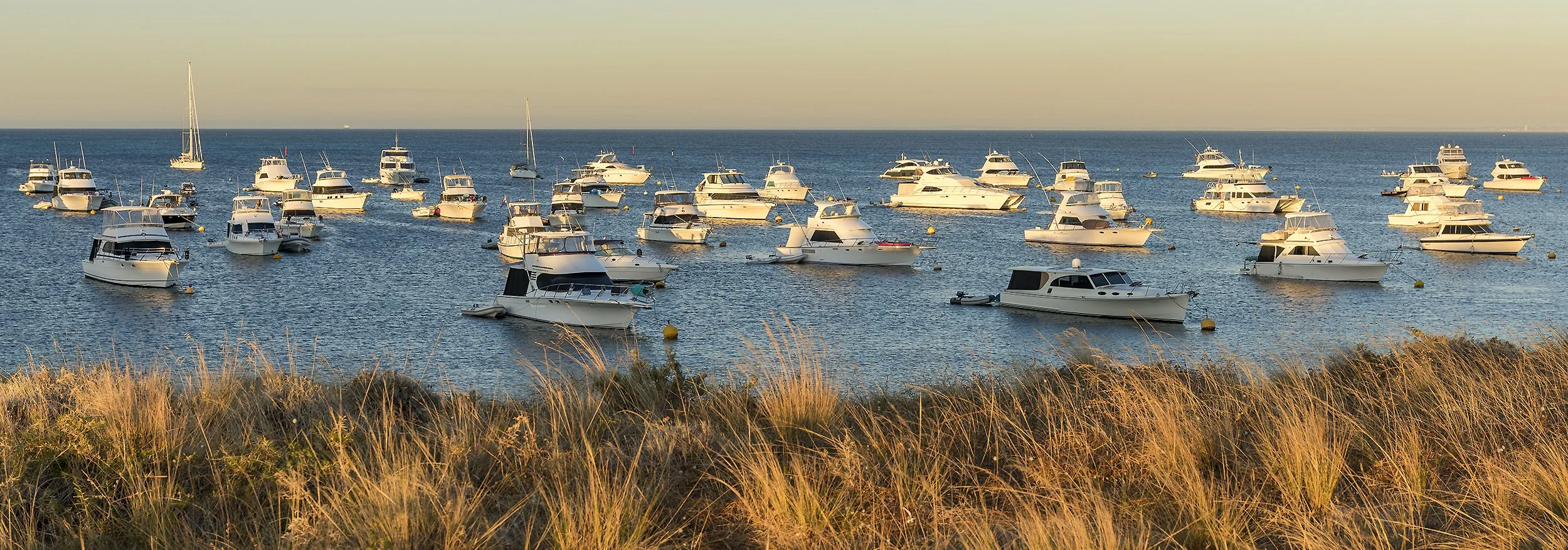 THOMSON BAY - LAST RAYS.jpg