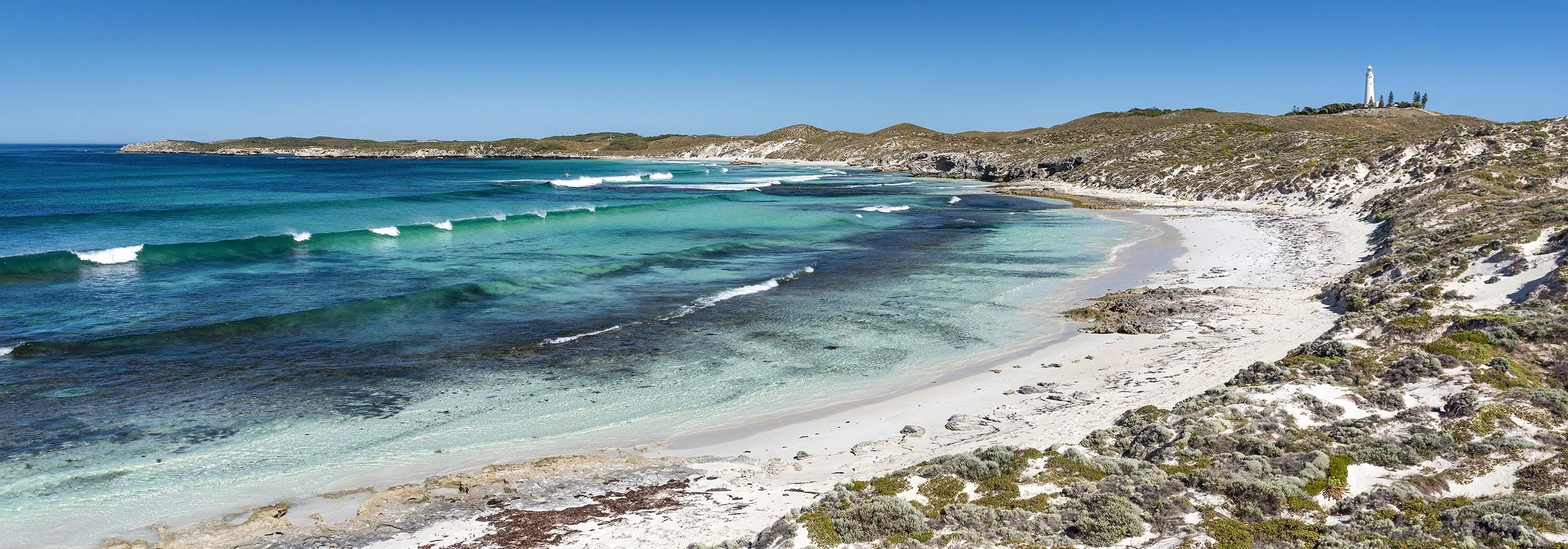 SALMON BAY - WADJIES.jpg