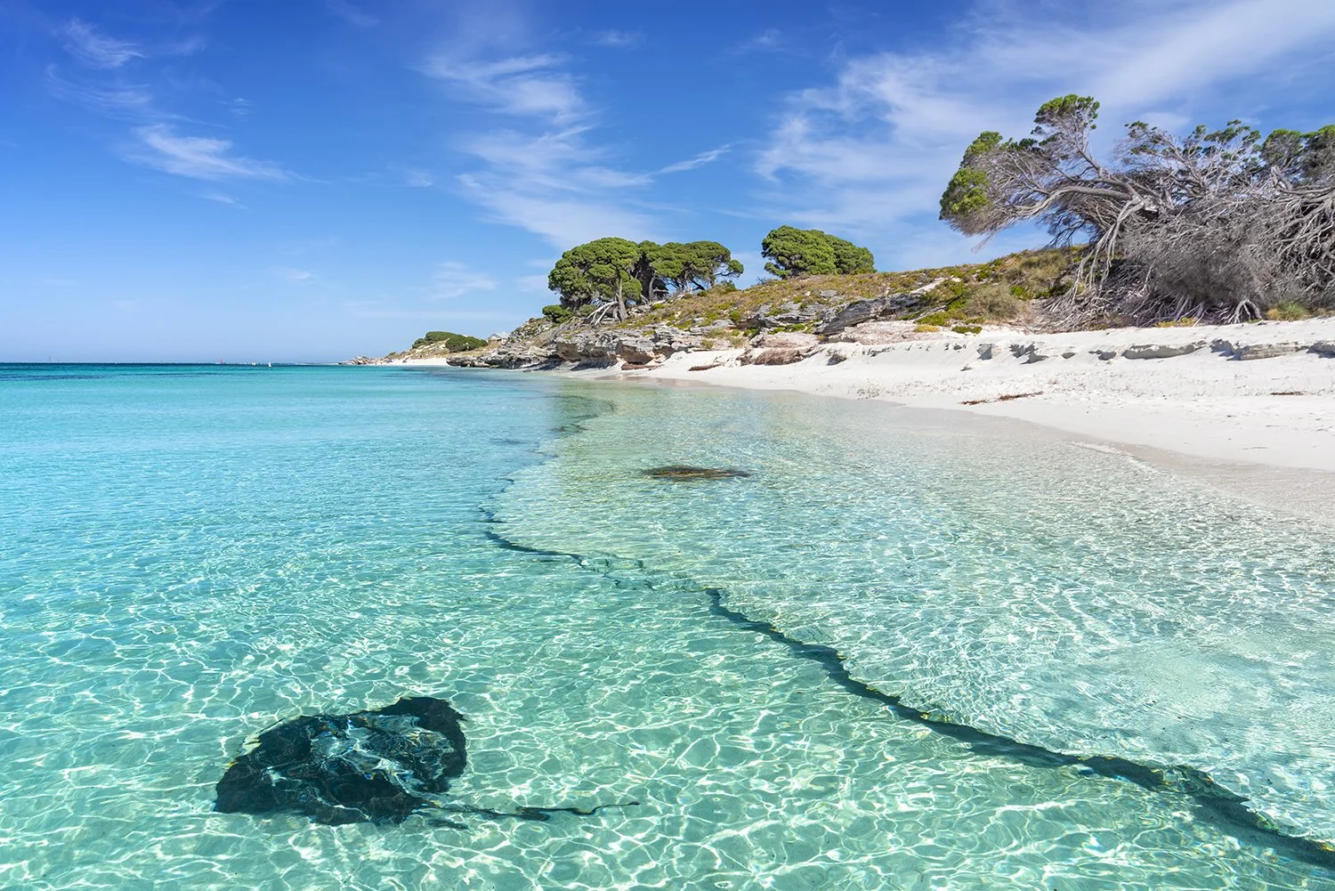 THOMSON BAY - LOCALS ONLY.jpg