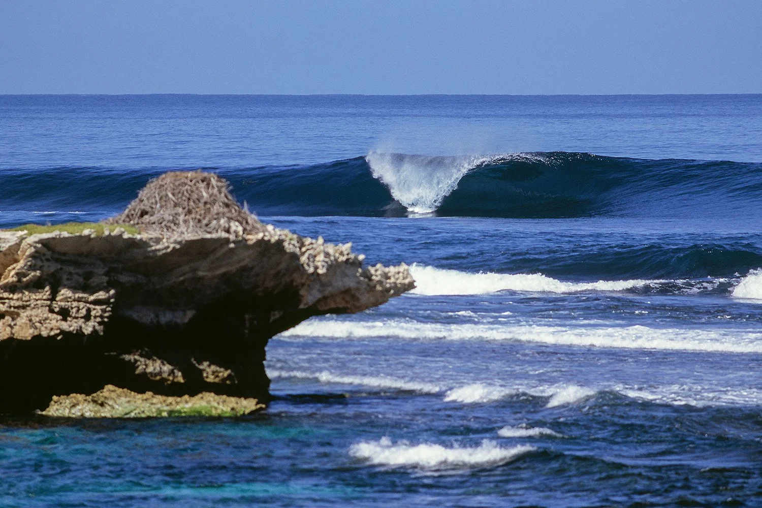 SALMON POINT - MEAT TRAYS.jpg