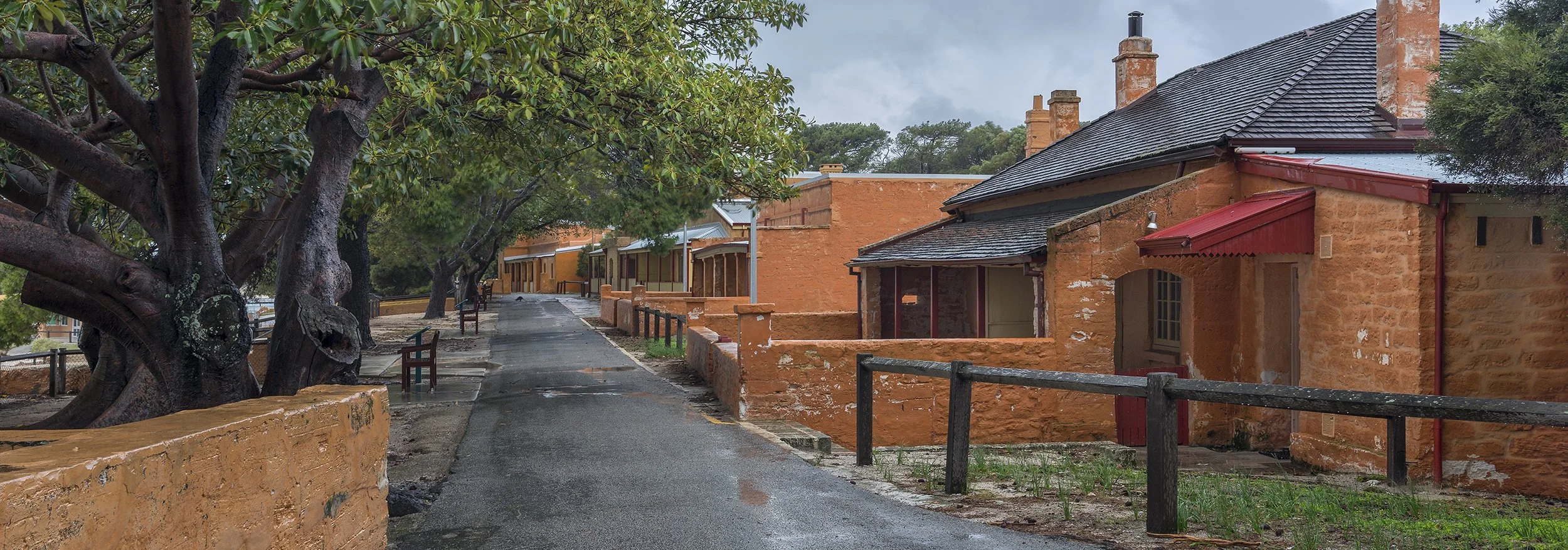 VINCENT WAY - WINTER.jpg