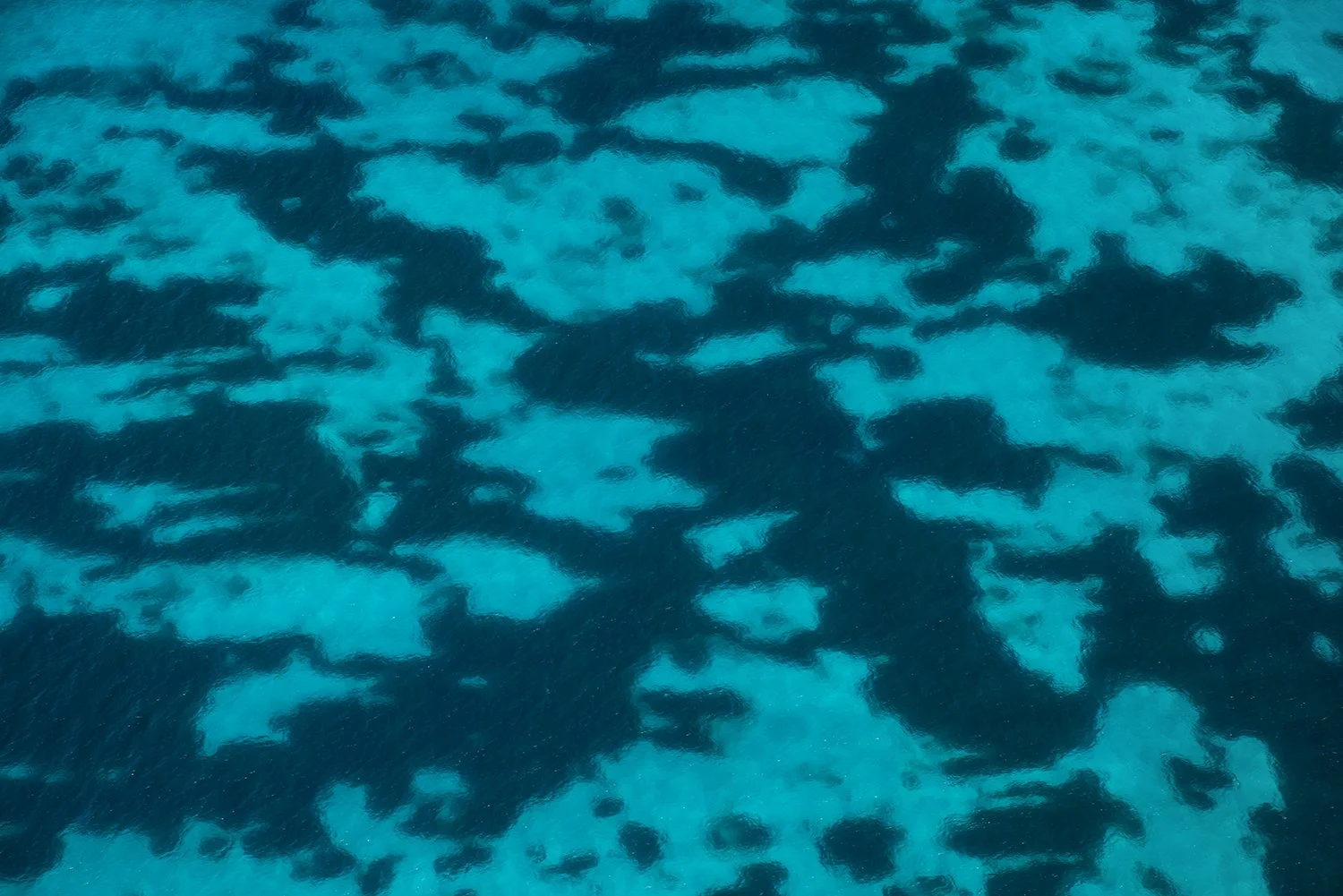 ROTTNEST ISLAND - SEAGRASS PATTERNS.jpg