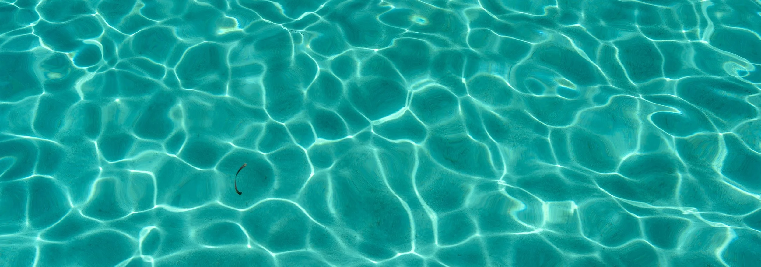 PARKER POINT - TURQOISE VIBES.jpg