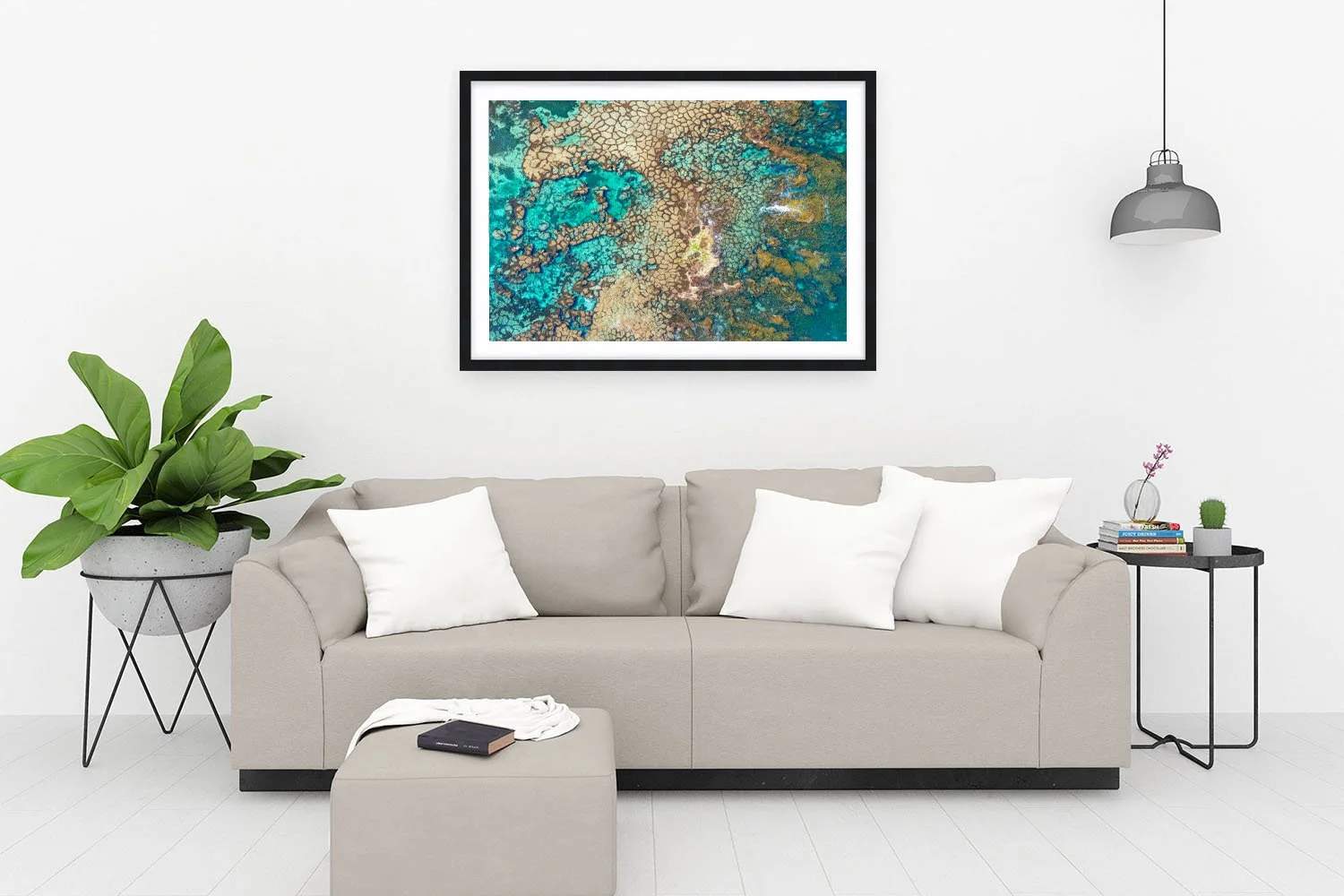 HAYWARD CAPE - ALGAL POLYGONS BLACK.jpg