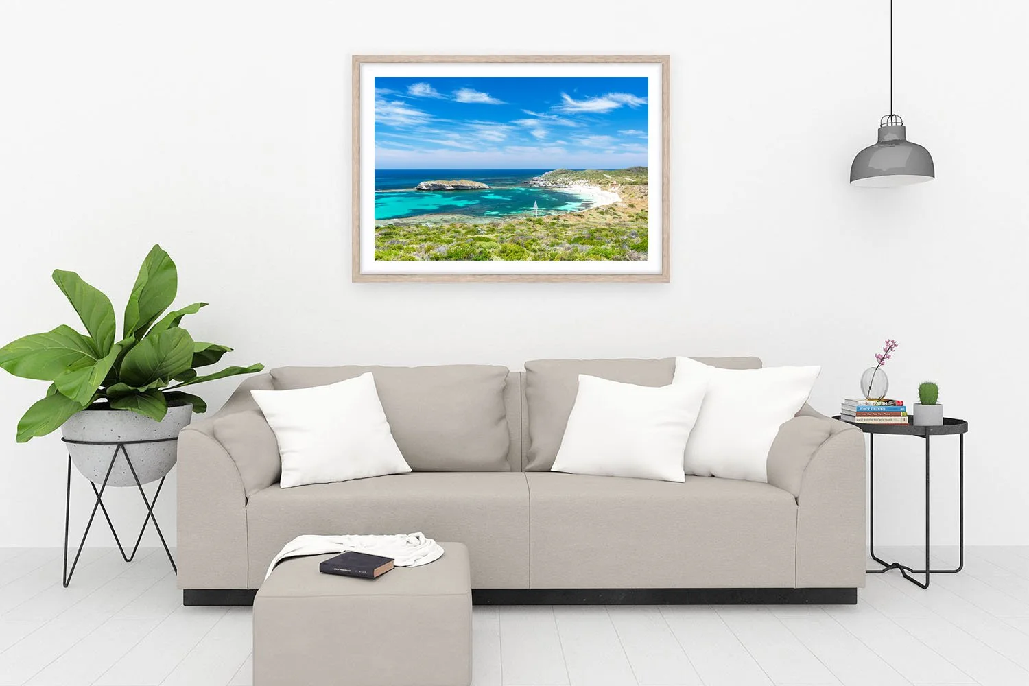 NANCY COVE - GREEN ISLAND OAK.jpg