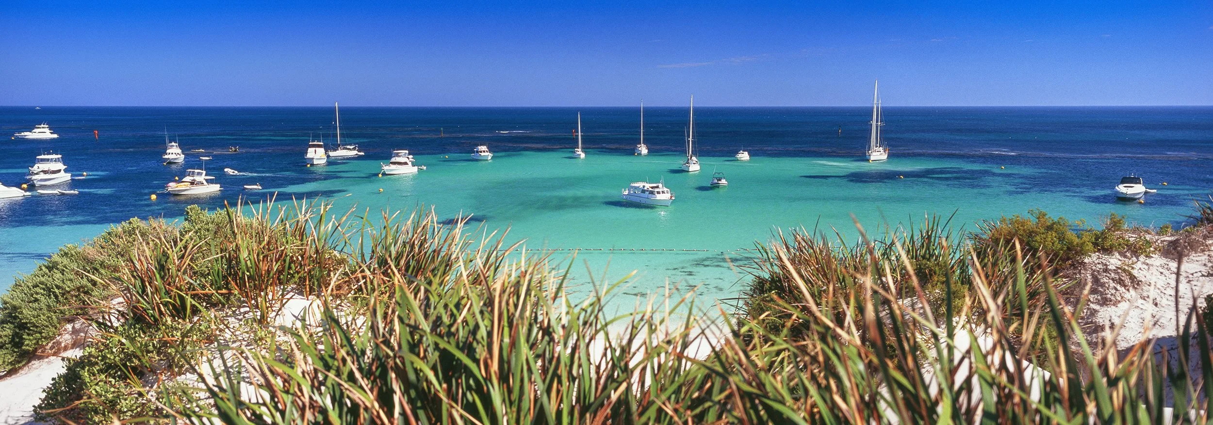 LONGREACH BAY - XPAN ON VELVIA.jpg
