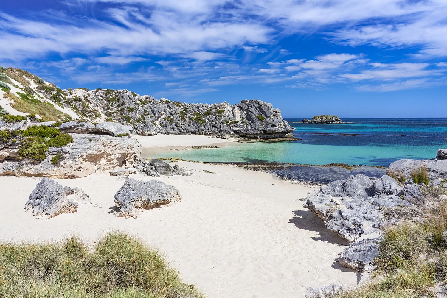 LITTLE PARAKEET BAY - MERRY CHRISTMAS.jpg