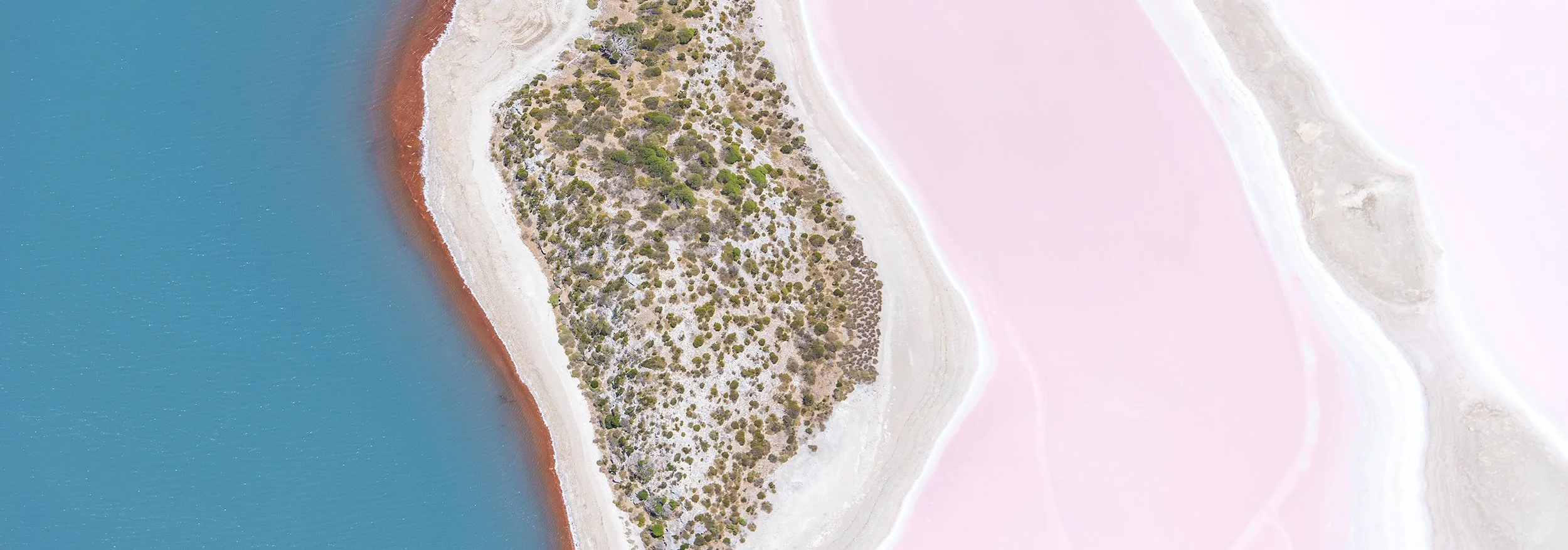 PEARSE LAKES - SUMMER HUES.jpg