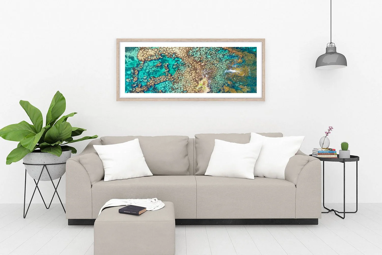 HAYWARD CAPE - ALGAL POLYGONS OAK.jpg