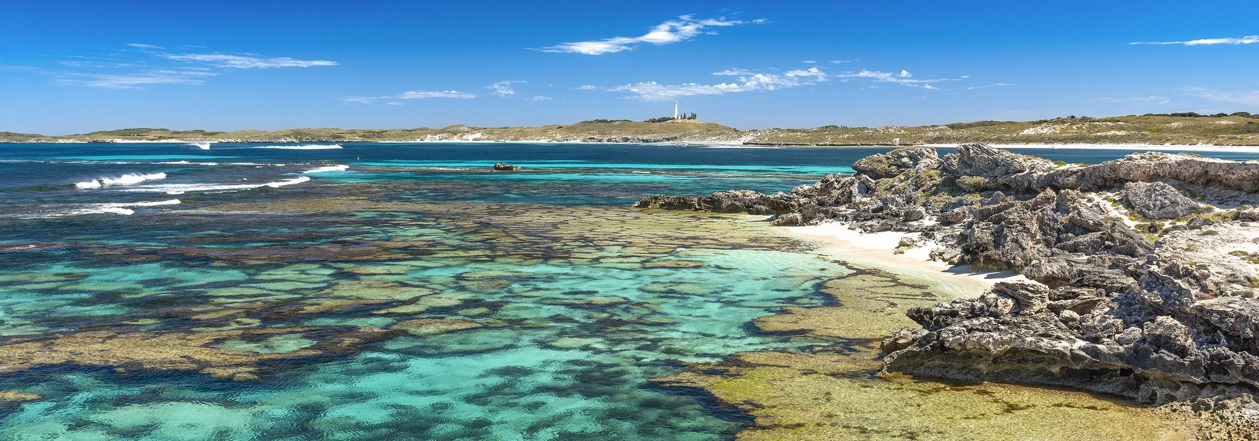 SALMON POINT - INSIDE CHICKENS.jpg