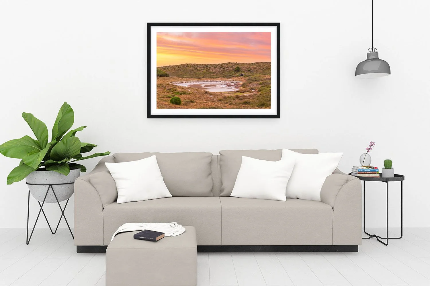 PARAKEET SWAMP - SUMMER SUNSETS BLACK.jpg