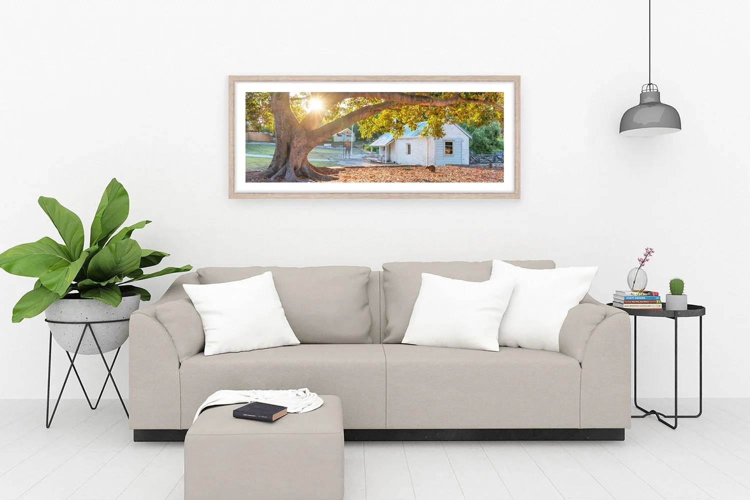 ROTTNEST ISLAND - LOMAS COTTAGE OAK.jpg