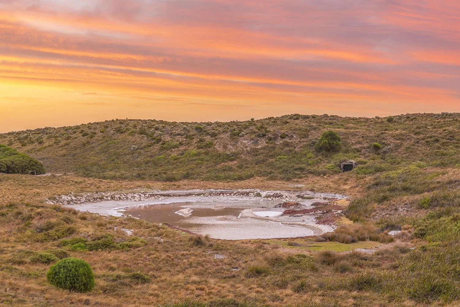 PARAKEET SWAMP - SUMMER SUNSETS.jpg