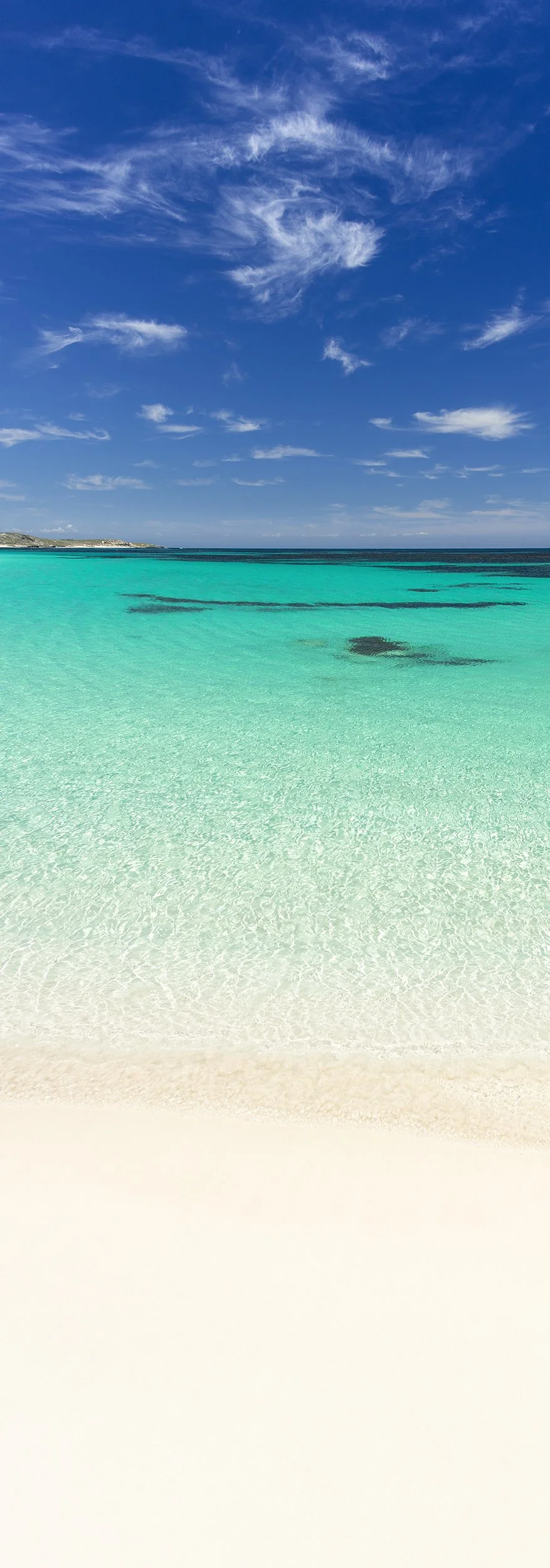 STRICKLAND BAY - REACH FOR THE SKIES.jpg