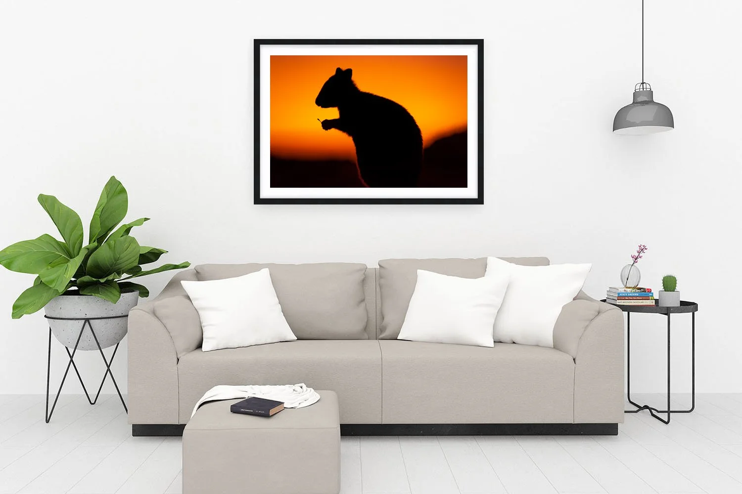 ROTTNEST ISLAND - THE QUOKKA BLACK.jpg