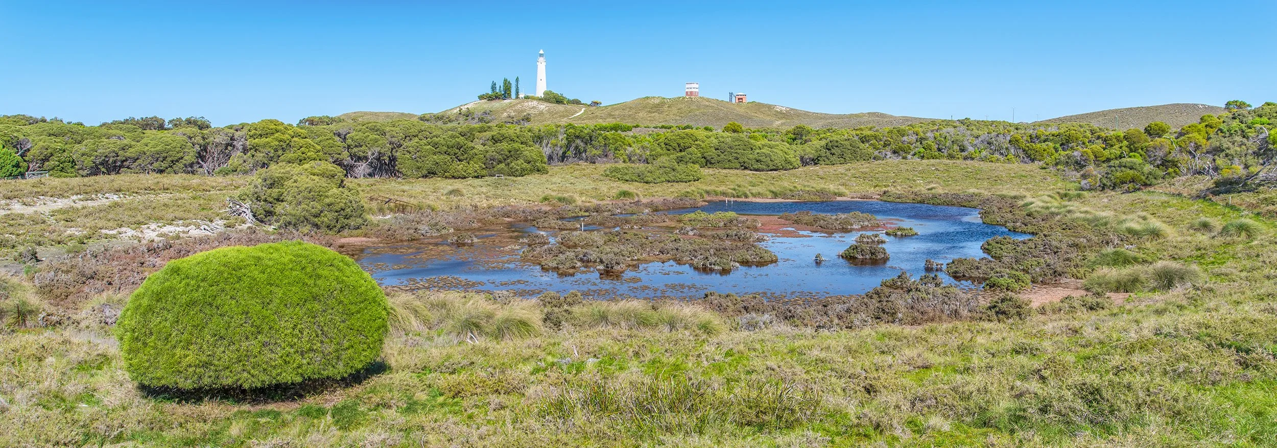BARKER SWAMP - HEART OF THE ISLAND.jpg