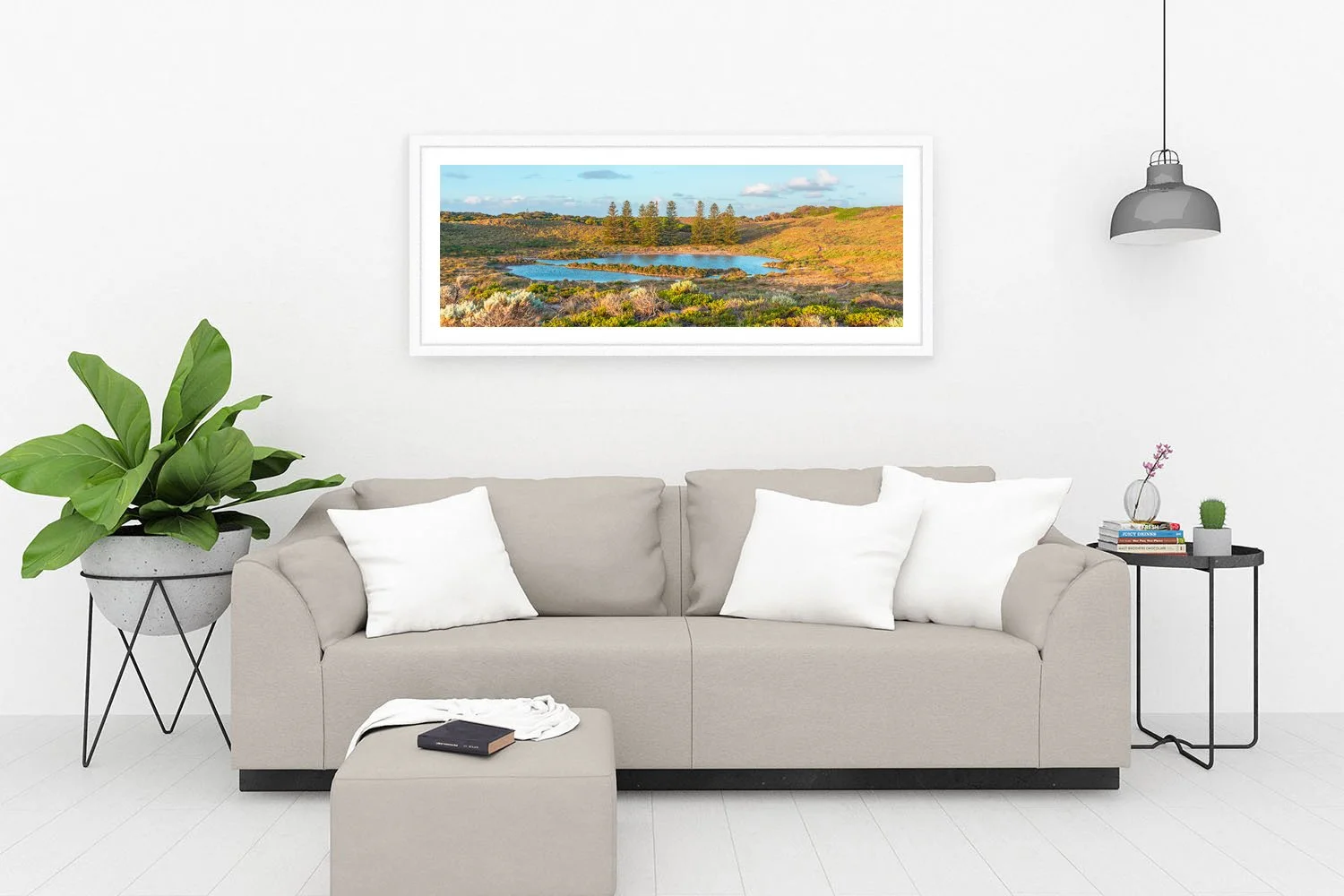 SALMON SWAMP - THE PINES WHITE.jpg