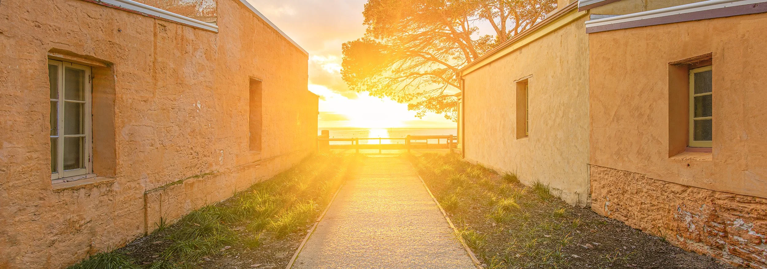 THOMSON BAY - THE WALK.jpg