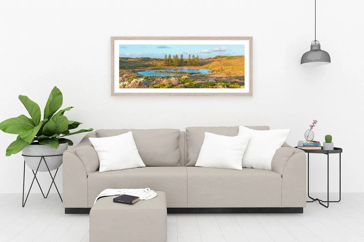 SALMON SWAMP - THE PINES OAK.jpg