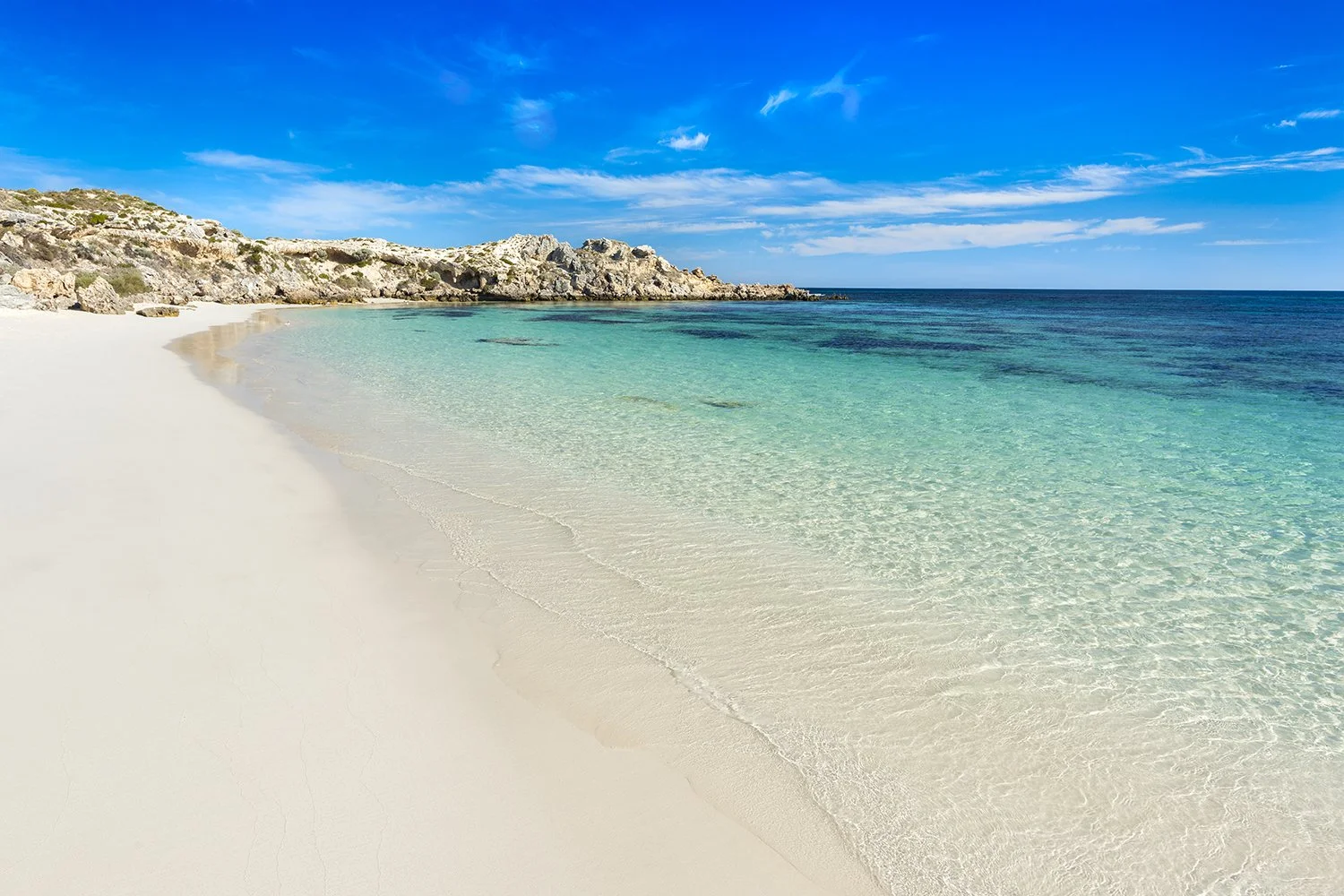 SALMON BAY - DREAMS.jpg