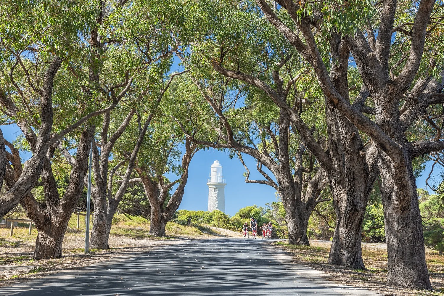BATHURST LIGHTHOUSE - ROAD TO PINKYS.jpg