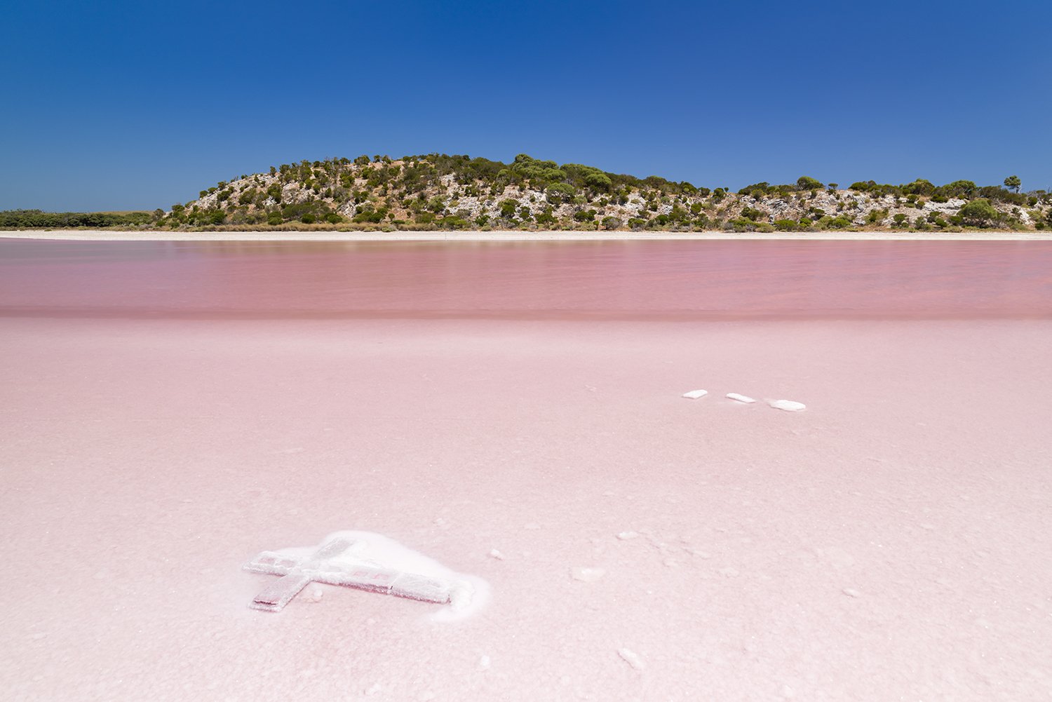 PEARSE LAKES - A CROSS BETWEEN PINK AND BLUE.jpg