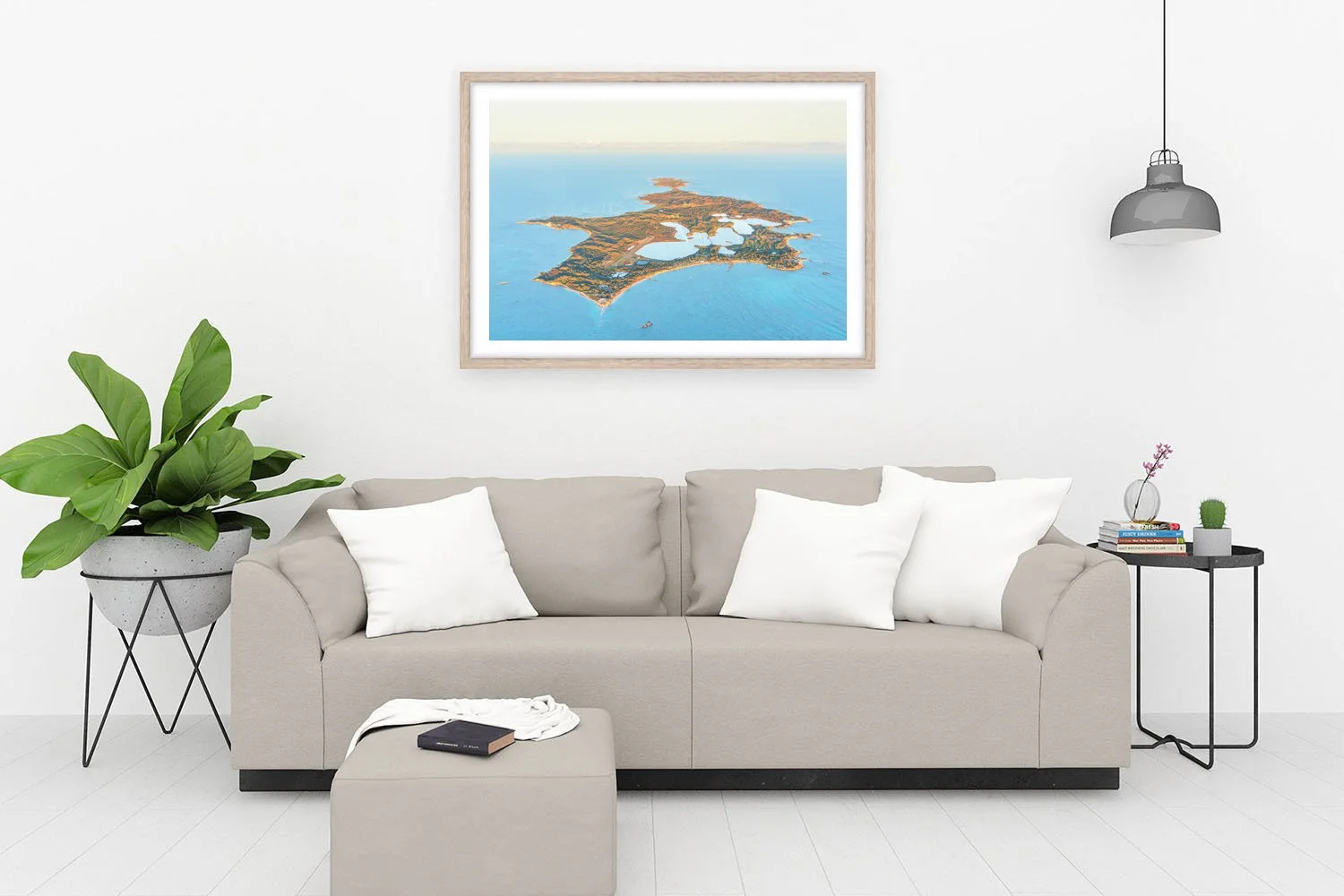 ROTTNEST ISLAND - THE HOLY GRAIL OAK.jpg