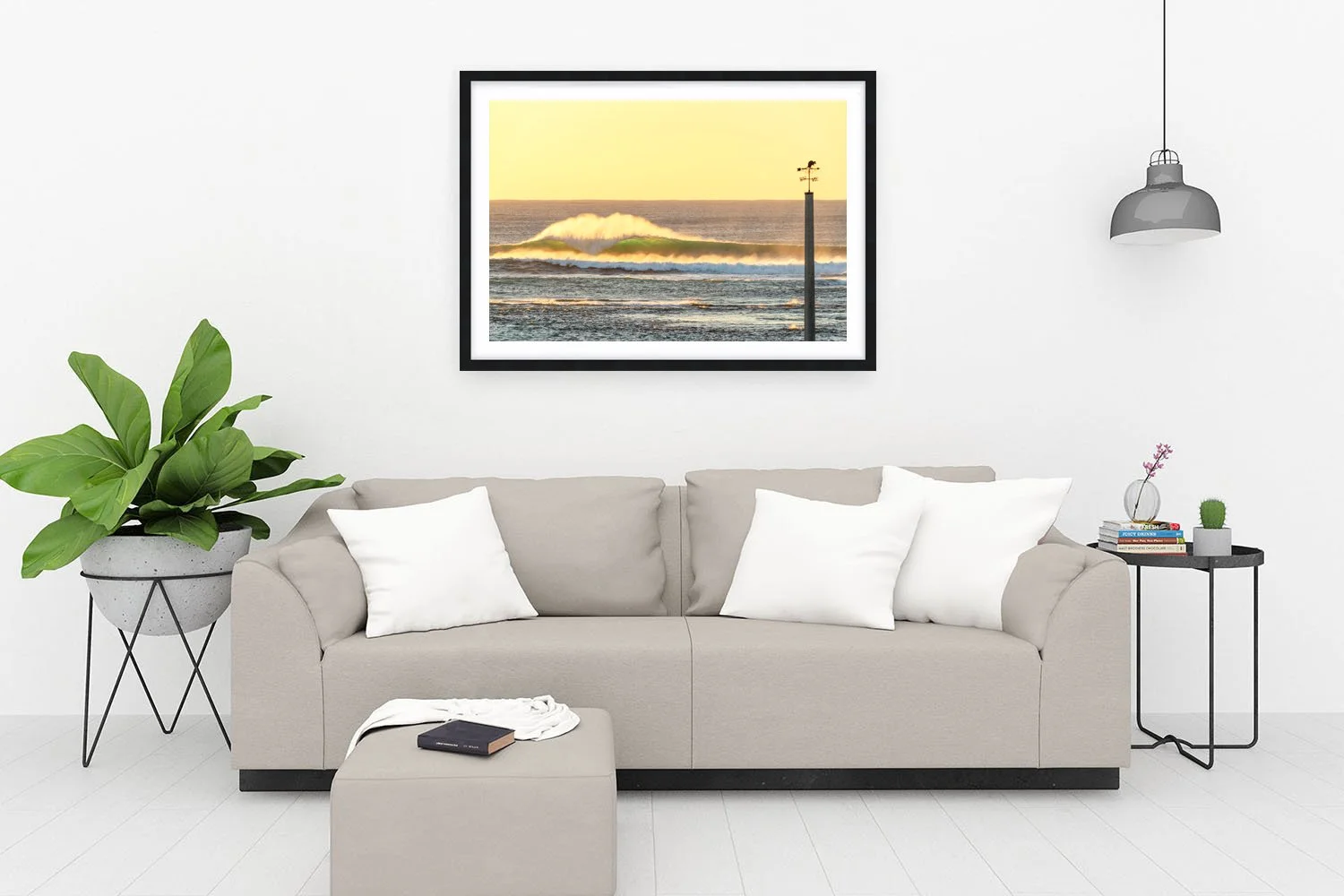 STARK BAY - QUOKKA VANE BLACK.jpg