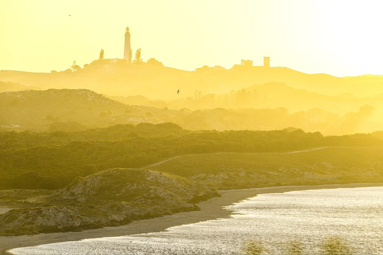 MT HERSCHEL - LAYERS TO WADJEMUP.jpg