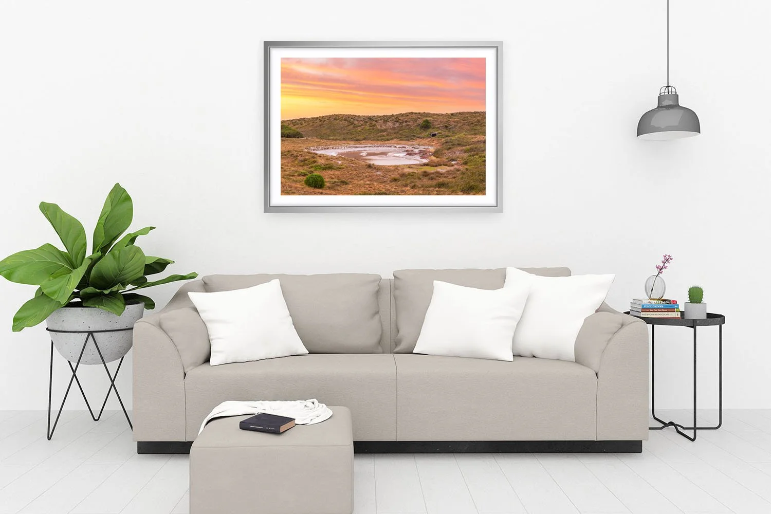 PARAKEET SWAMP - SUMMER SUNSETS SILVER.jpg