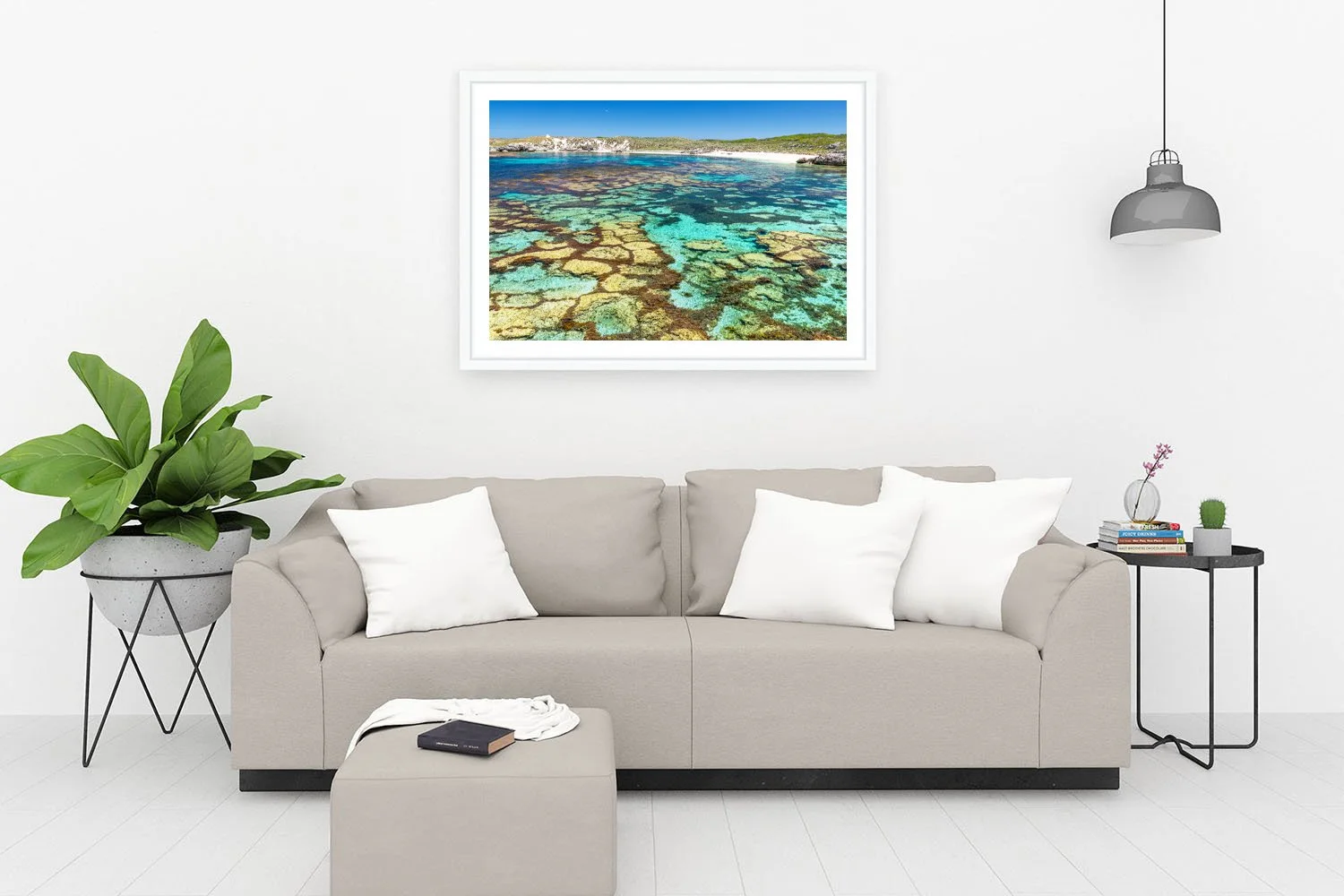 MARY COVE - ALGAL POLYGONS WHITE.jpg