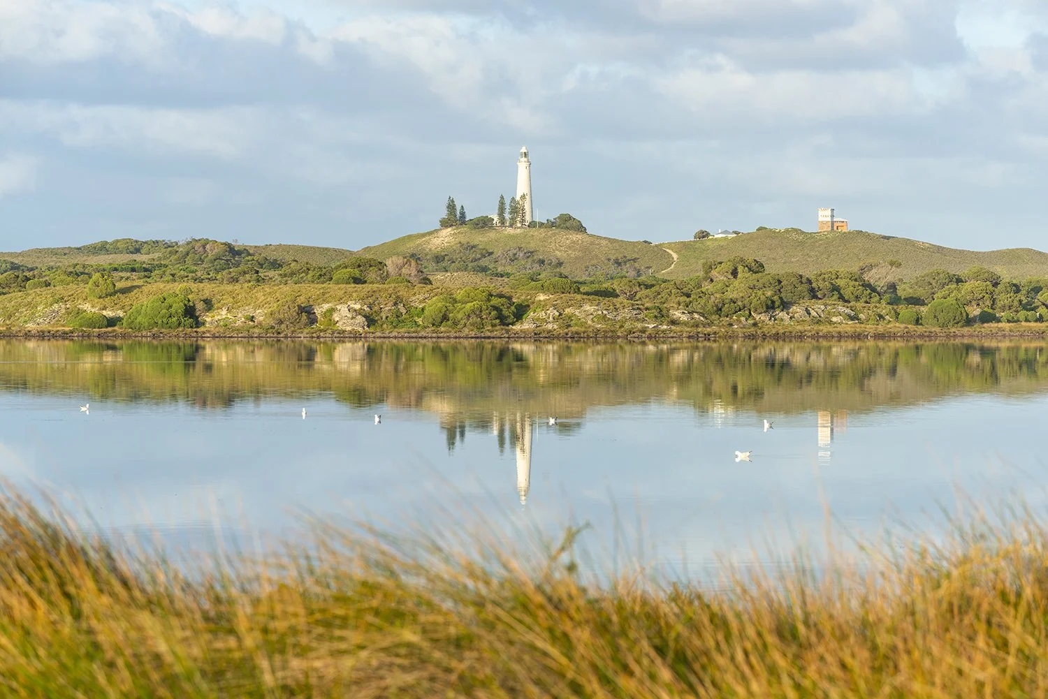LAKE BAGHDAD - WADJEMUP REFLECTION.jpg