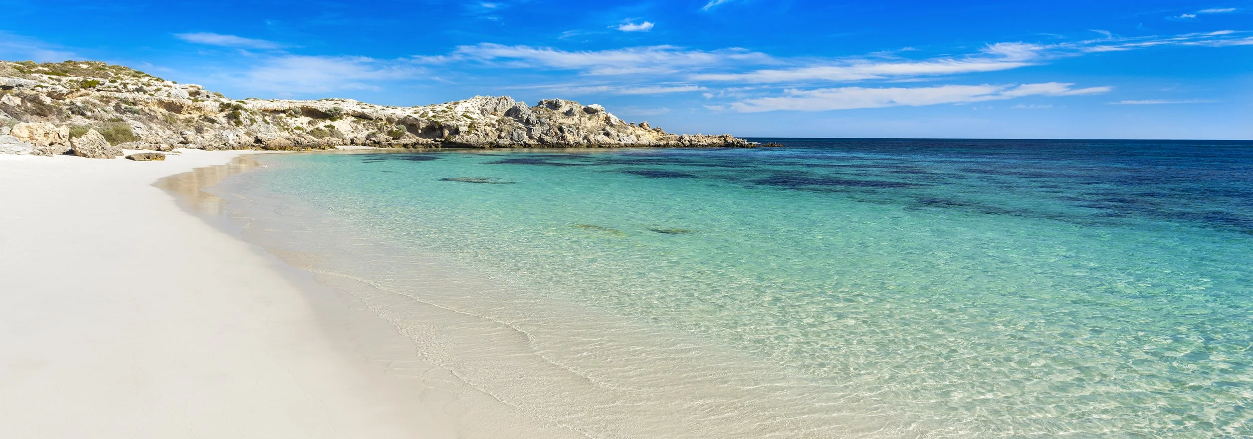 SALMON BAY - DREAMS.jpg