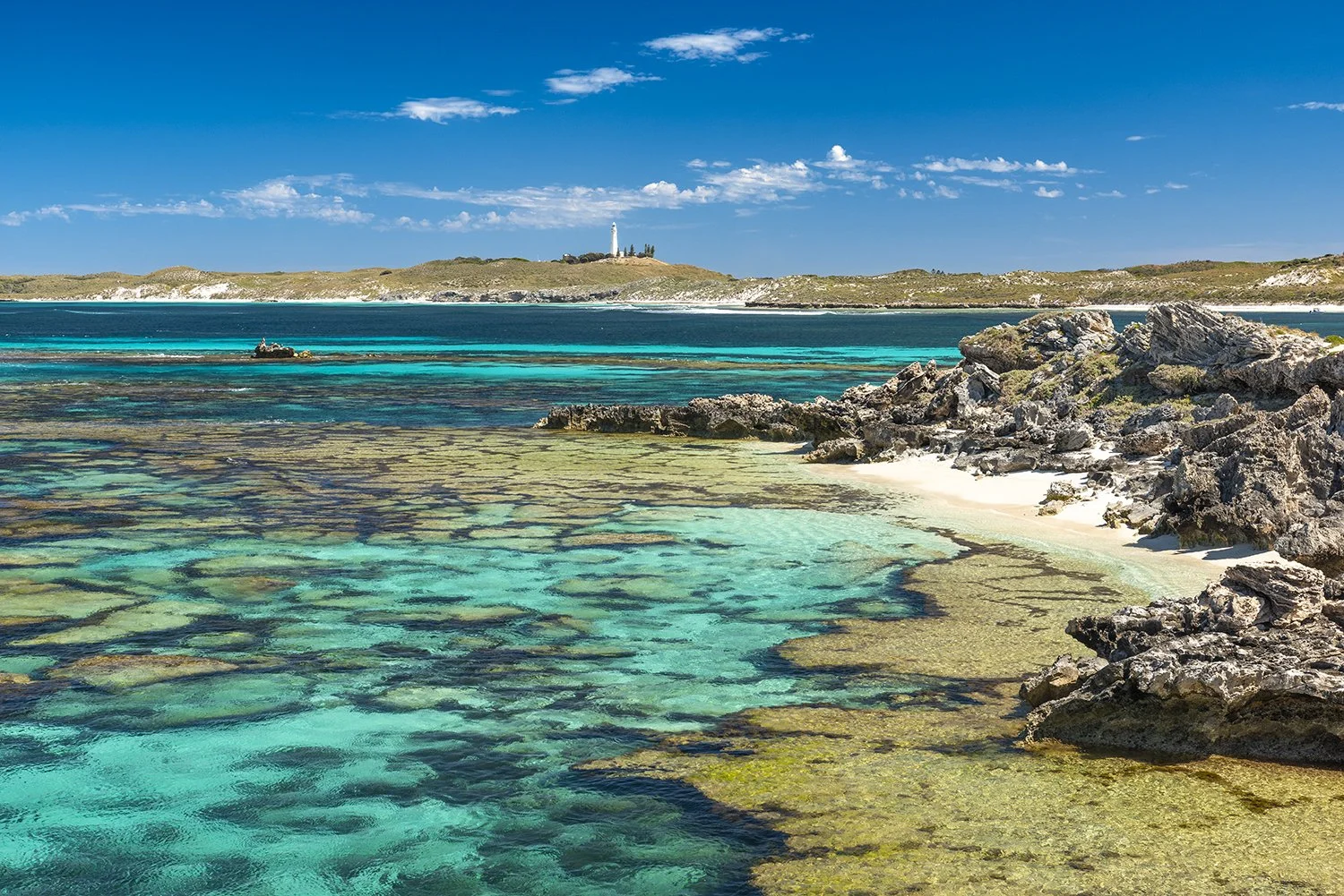 SALMON POINT - INSIDE CHICKENS.jpg