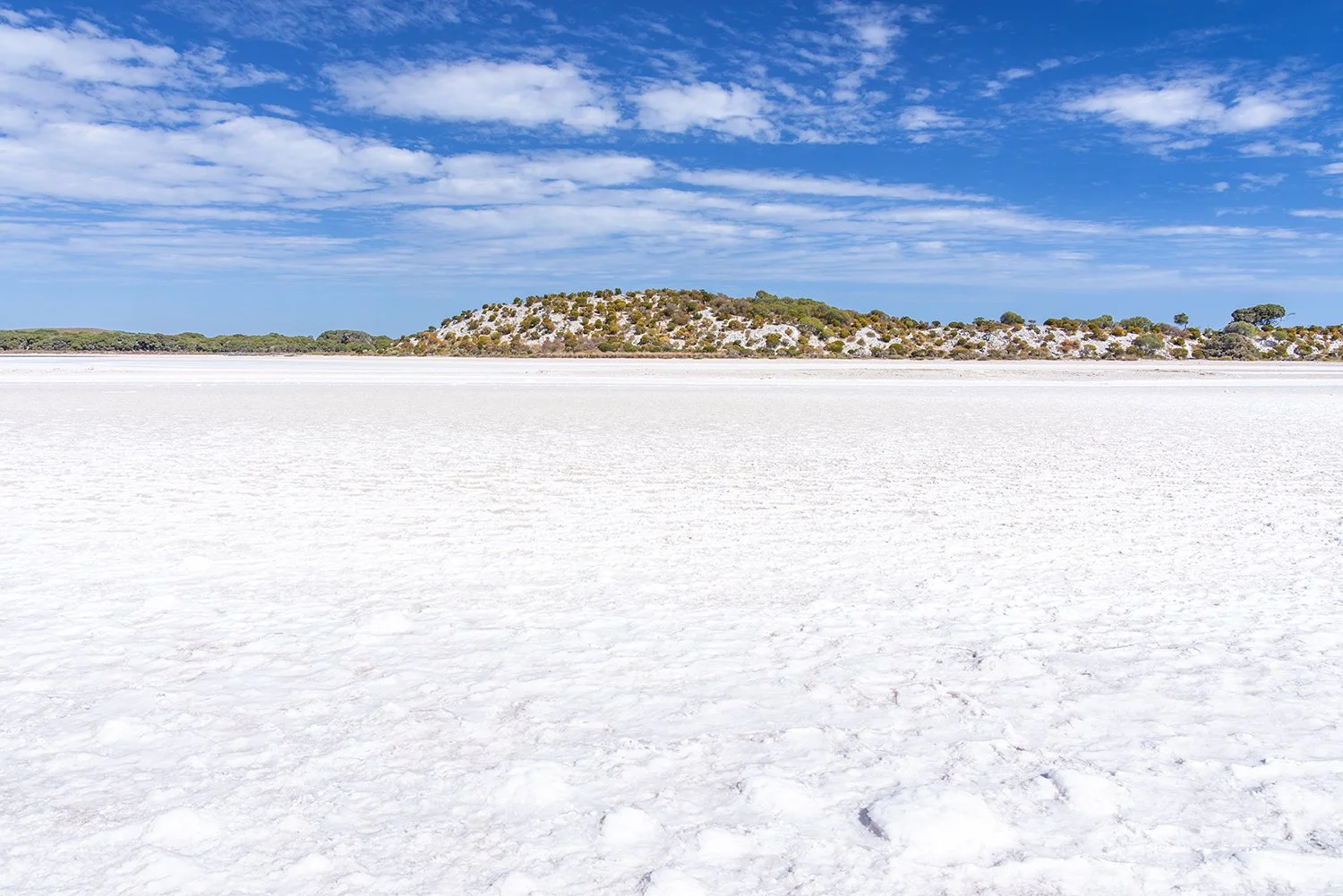 PEARSE LAKES - BONE DRY.jpg