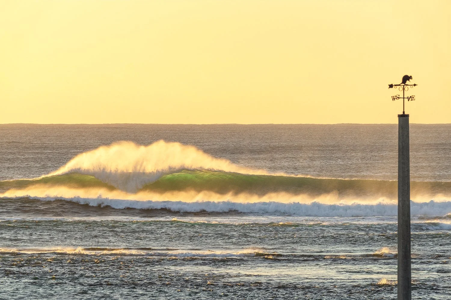STARK BAY - QUOKKA VANE.jpg